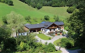 Urlaub mitten im Wald - Lueg