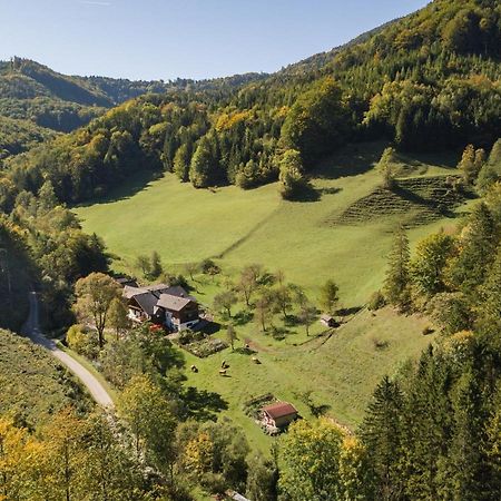 Urlaub mitten im Wald - Lueg Scheibbs Exterior foto