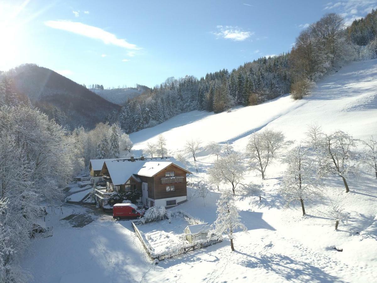 Urlaub mitten im Wald - Lueg Scheibbs Exterior foto