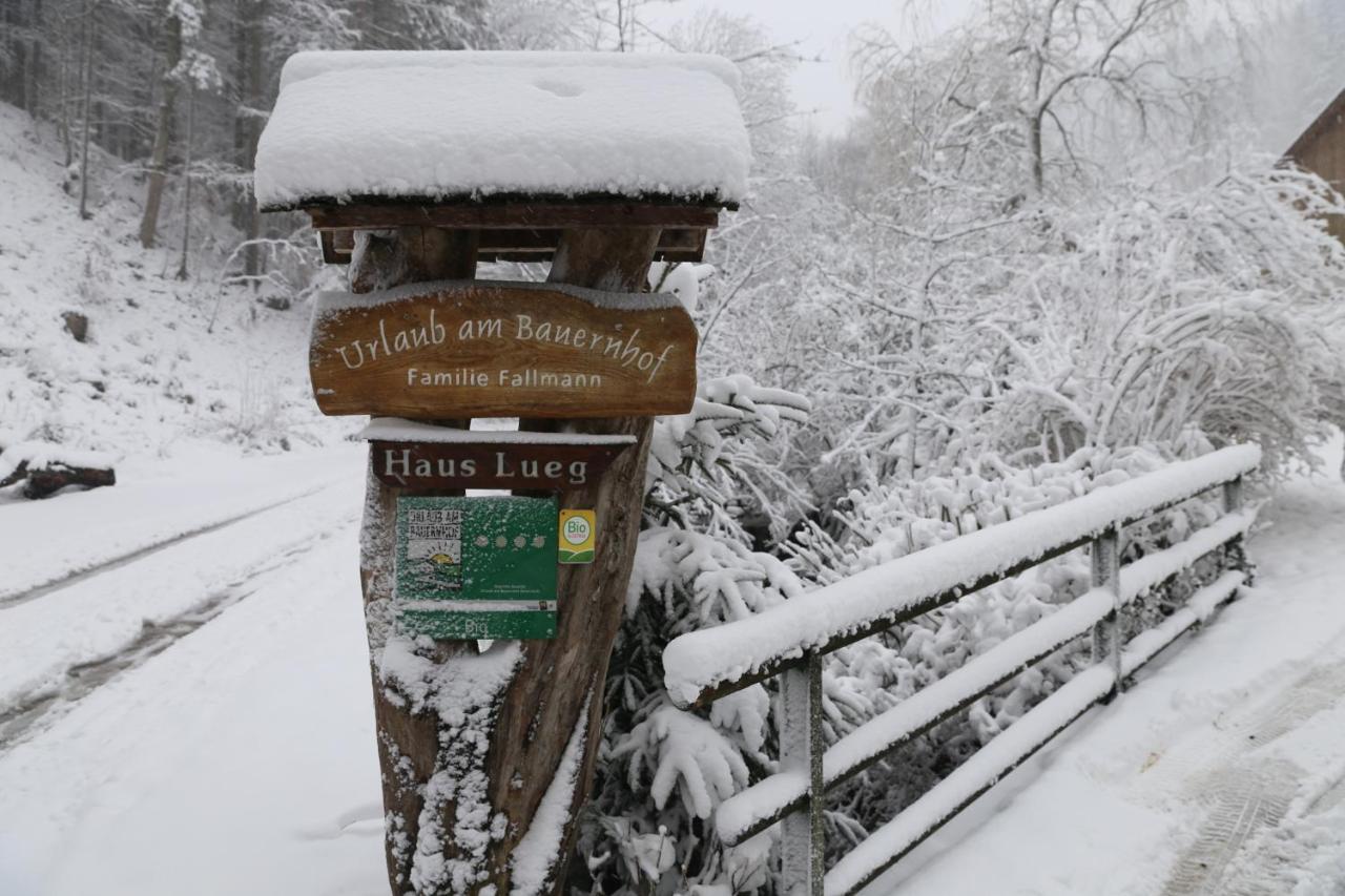 Urlaub mitten im Wald - Lueg Scheibbs Exterior foto
